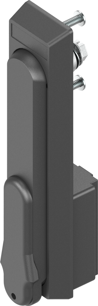Schwenkgriff